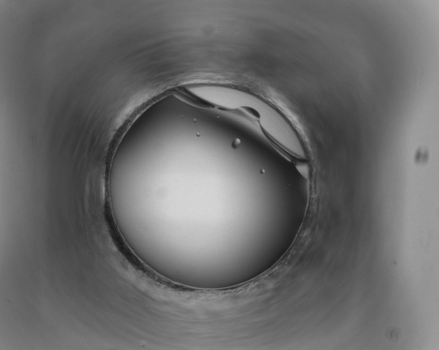 X0000092010011200709201540