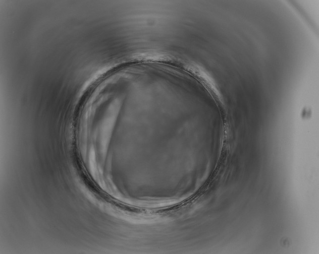 X0000092010012200709201540