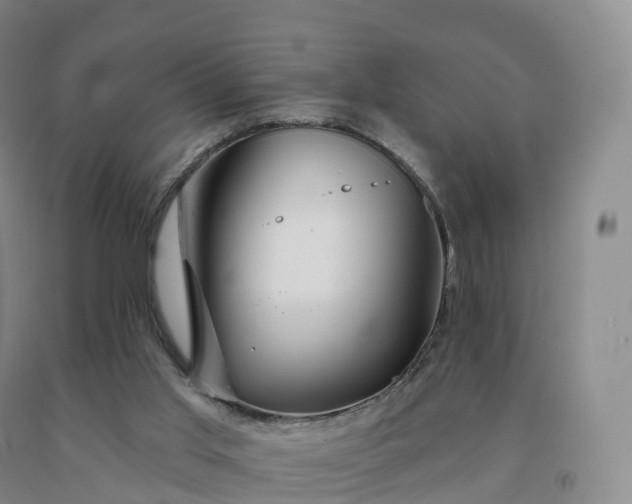 X0000092010013200709201540