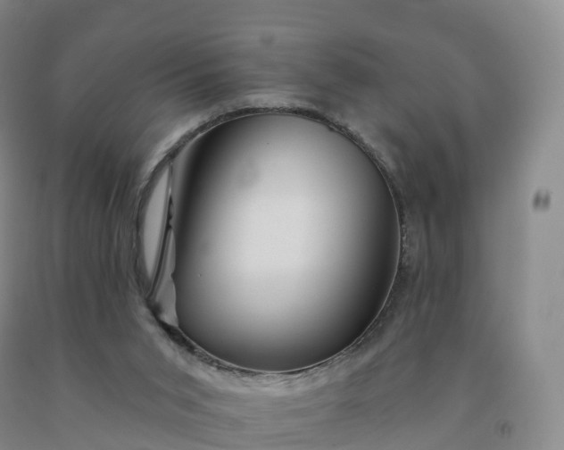 X0000092010015200709201540