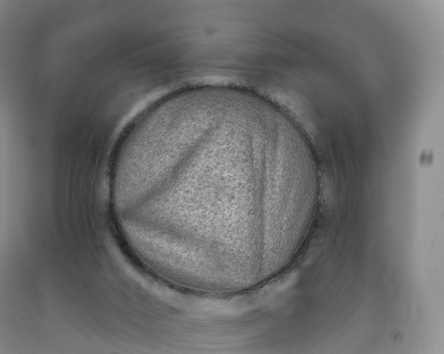 X0000092010016200709201540