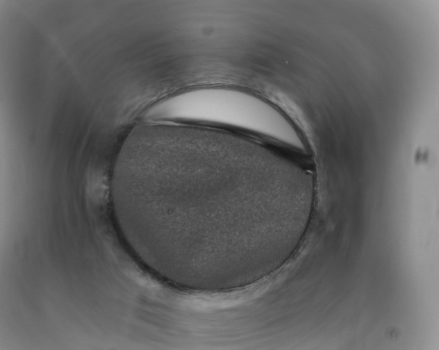 X0000092010017200709201540