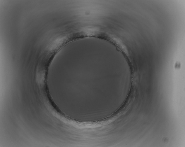 X0000092010018200709201540