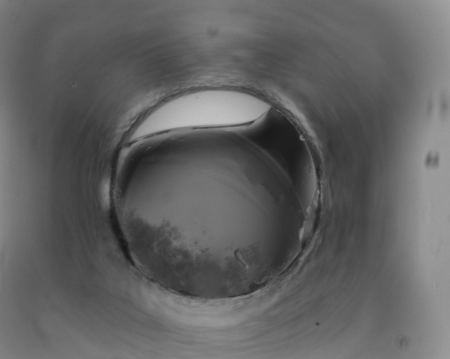 X0000092010019200709201540