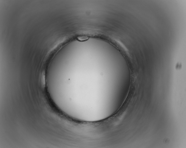 X0000092010020200709201540