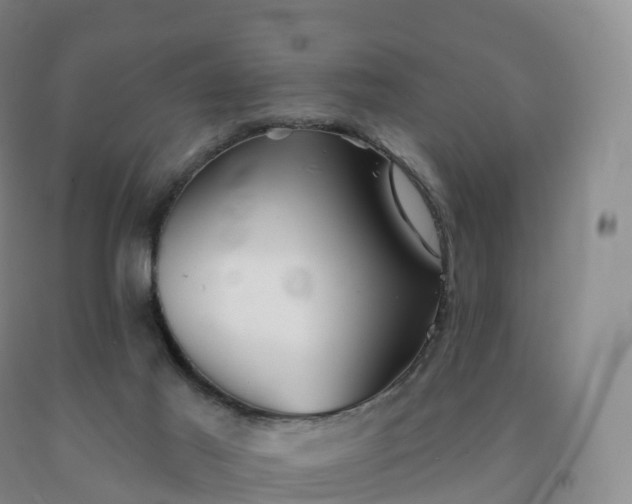 X0000092010021200709201540