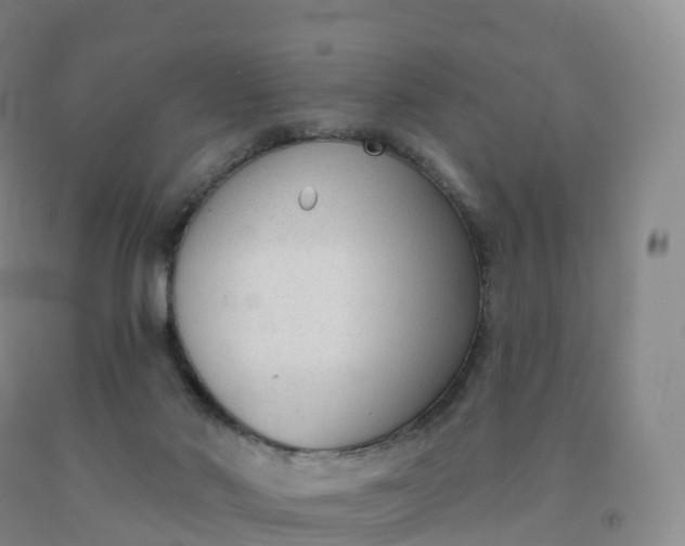 X0000092010022200709201540