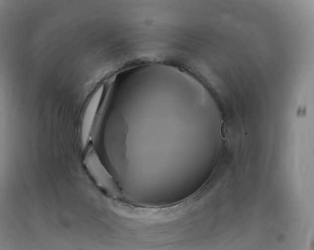 X0000092010023200709201540