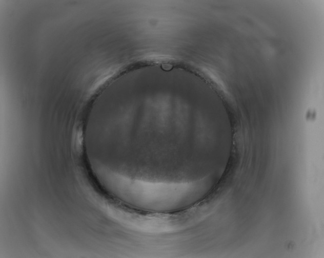 X0000092010024200709201540