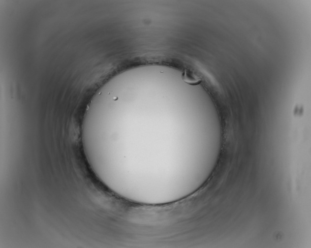 X0000092010025200709201540