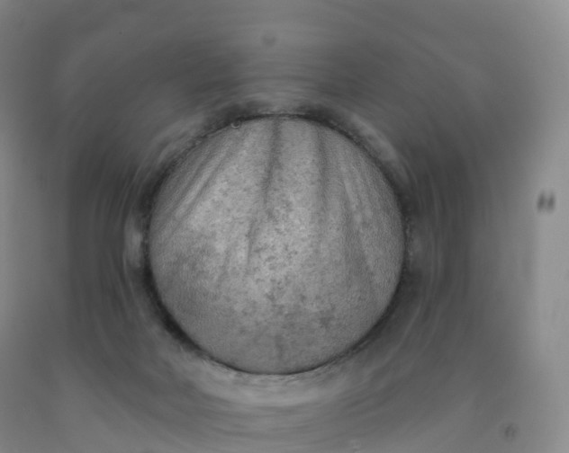 X0000092010026200709201540