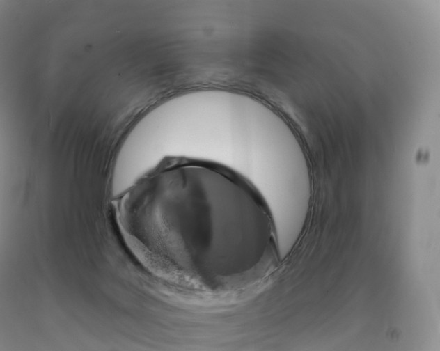 X0000092010027200709201540