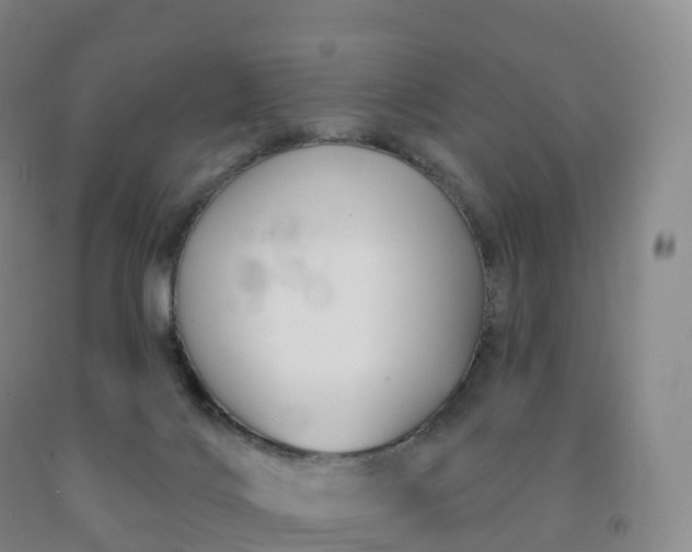 X0000092010028200709201540