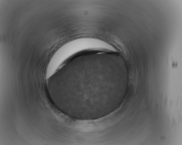 X0000092010029200709201540