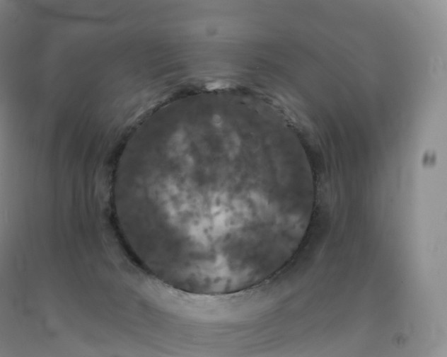 X0000092010030200709201540