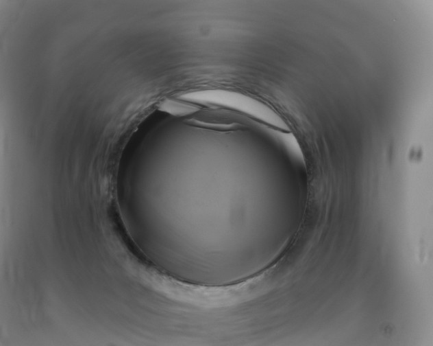 X0000092010031200709201540