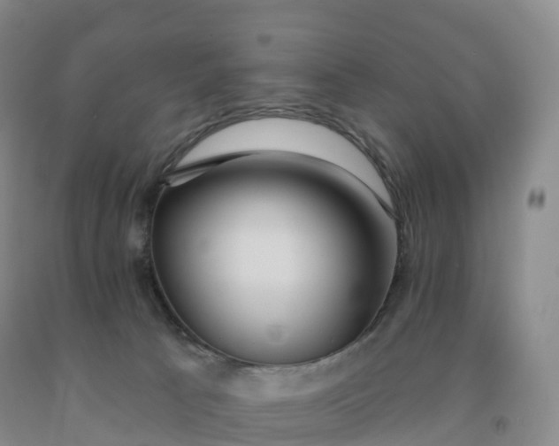 X0000092010033200709201540