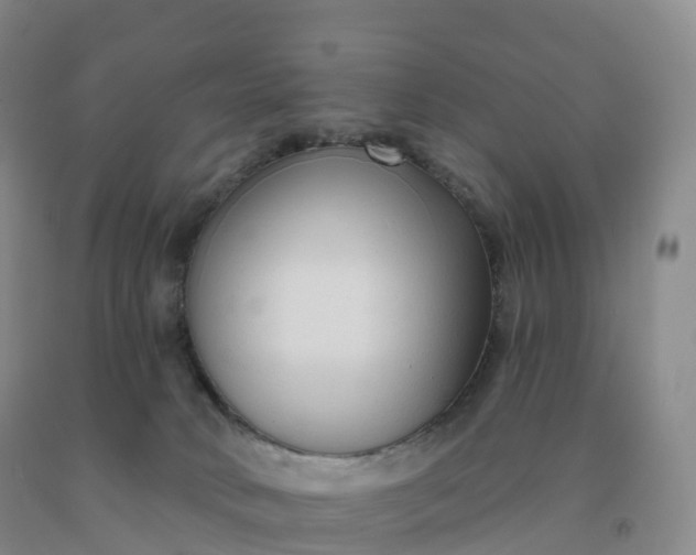 X0000092010034200709201540