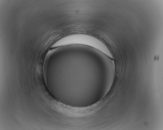 X0000092010035200709201540