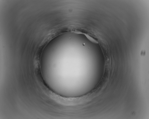 X0000092010038200709201540