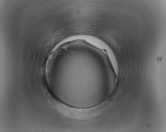 X0000092010039200709201540