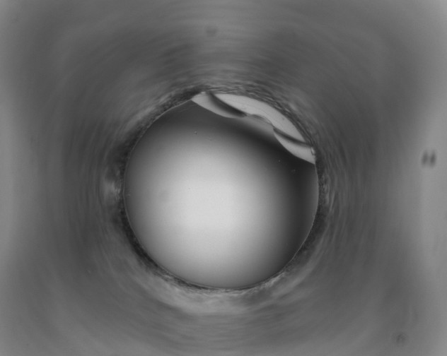 X0000092010040200709201540