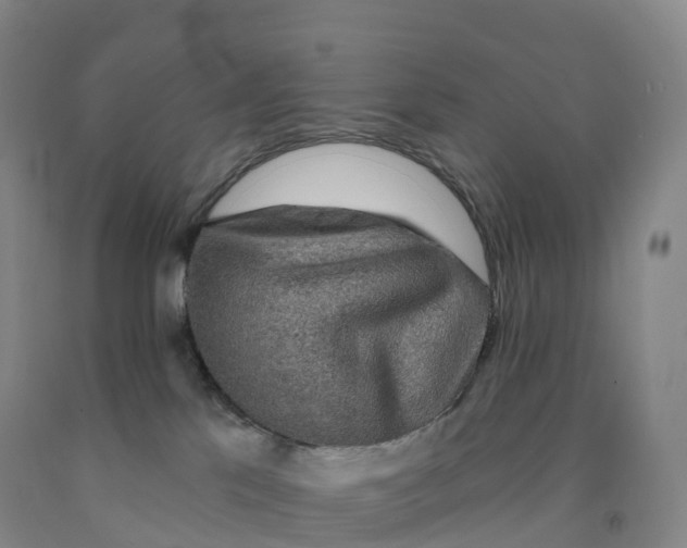 X0000092010041200709201540