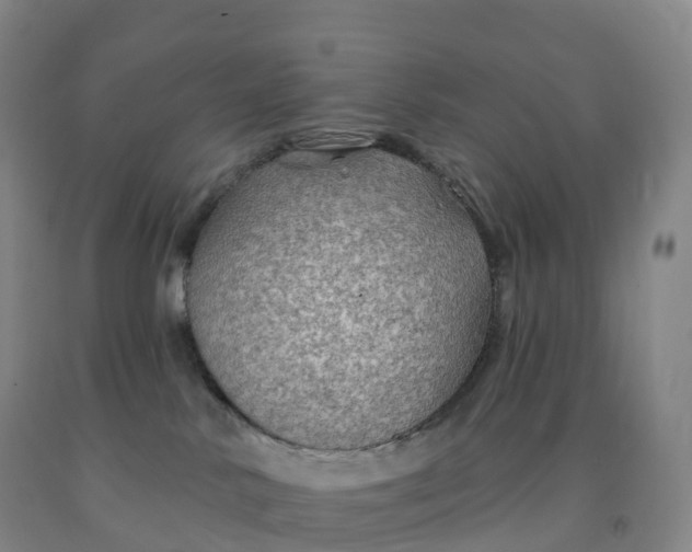 X0000092010042200709201540