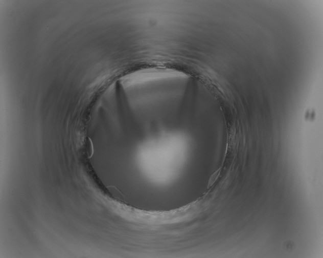 X0000092010043200709201540