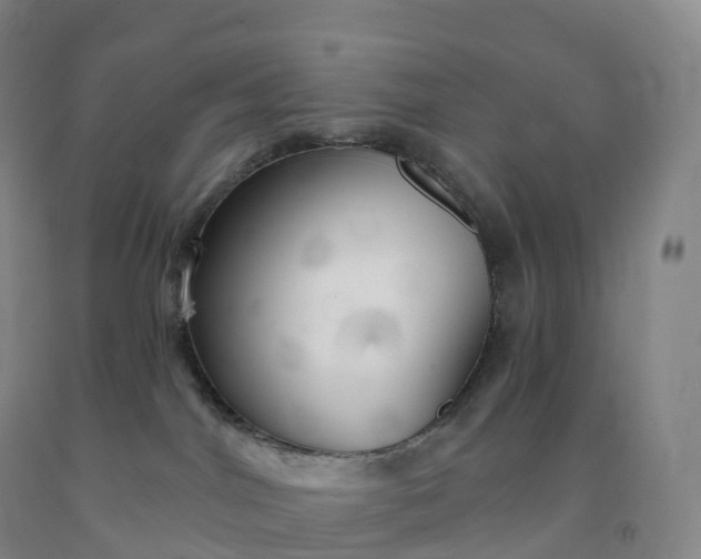 X0000092010044200709201540