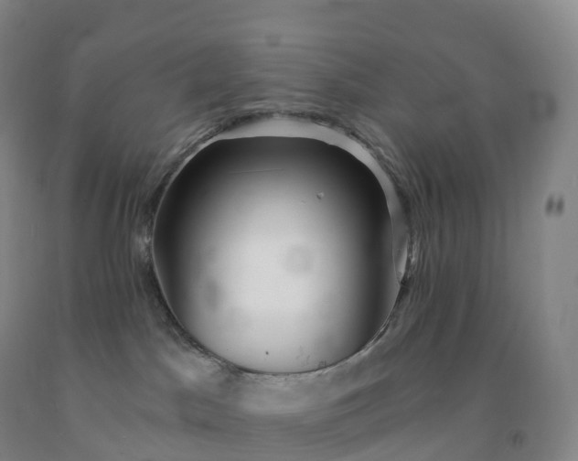 X0000092010045200709201540