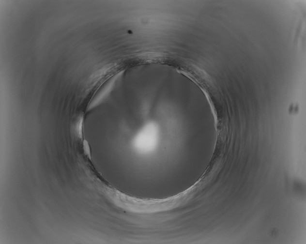 X0000092010047200709201540