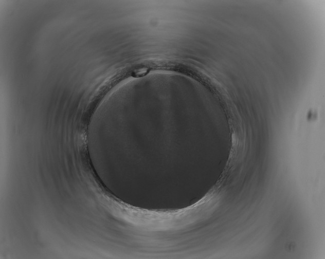 X0000092010048200709201540