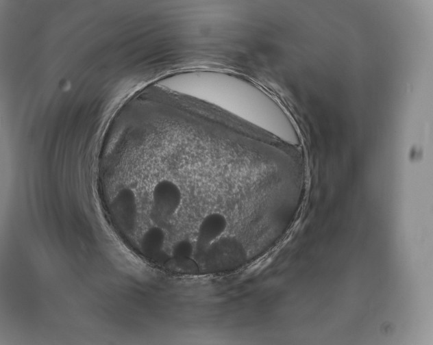 X0000092010049200709201539