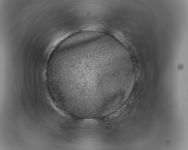 X0000092010050200709201539