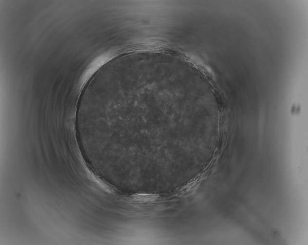 X0000092010051200709201539