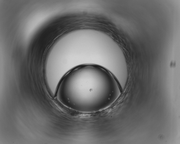 X0000092010052200709201539