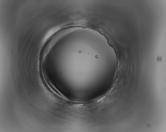 X0000092010054200709201539