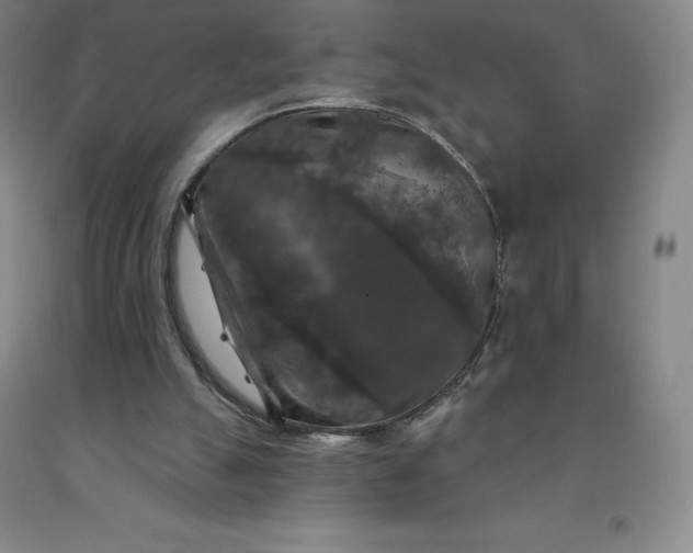 X0000092010055200709201539