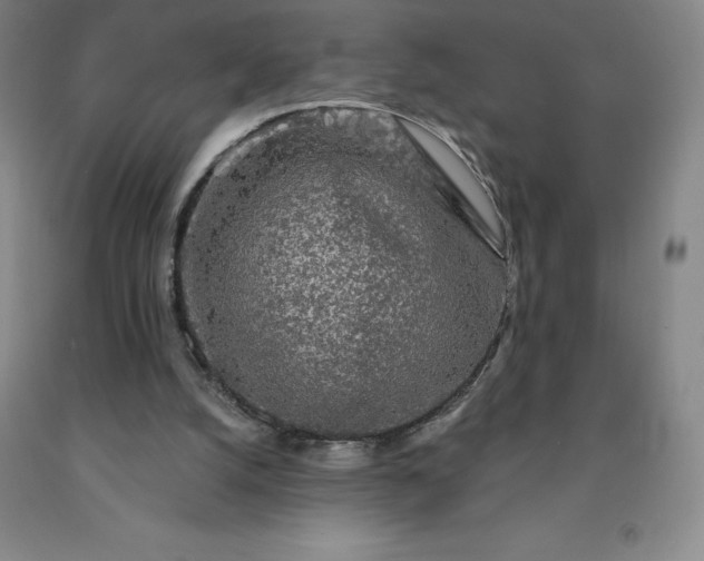 X0000092010056200709201539