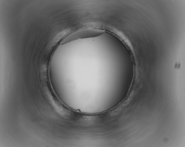 X0000092010057200709201539