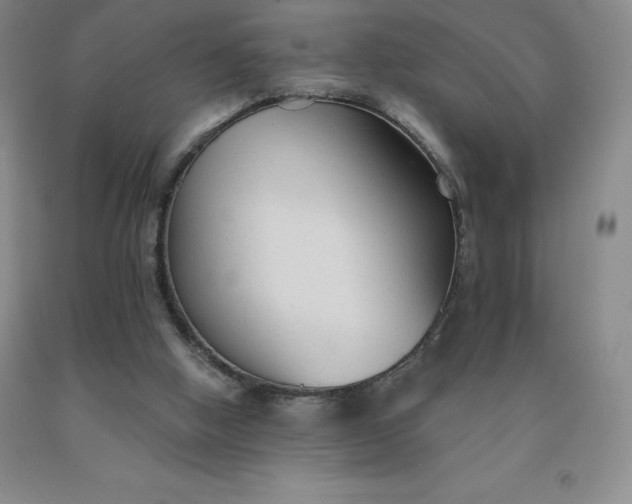 X0000092010058200709201539