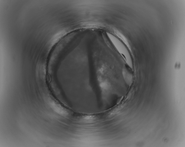 X0000092010059200709201539