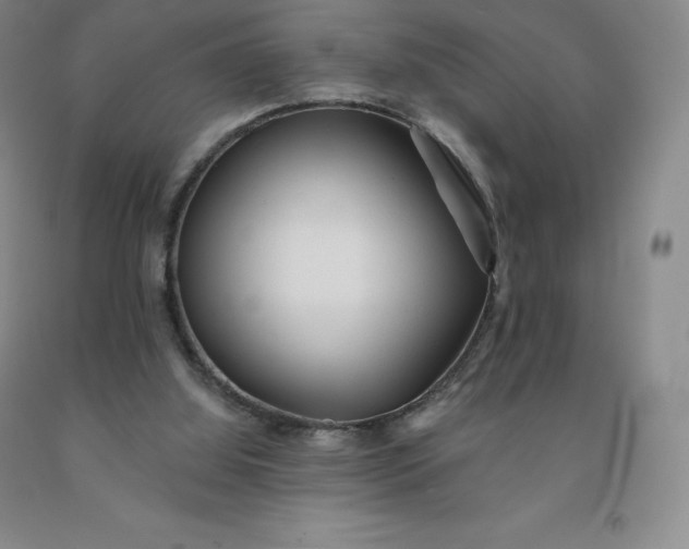 X0000092010060200709201539