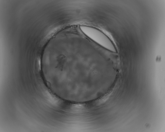 X0000092010061200709201539