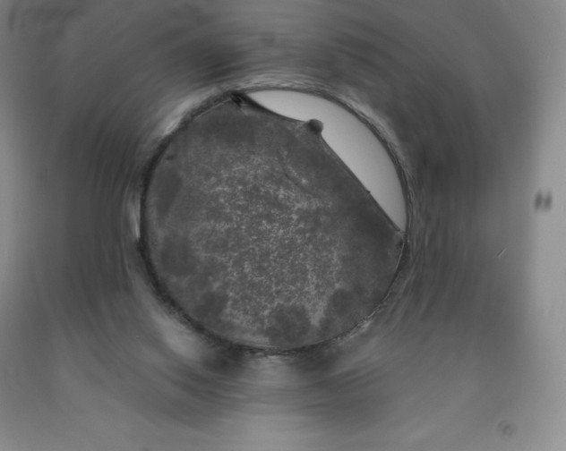 X0000092010062200709201539