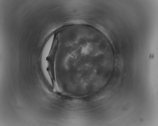 X0000092010063200709201539