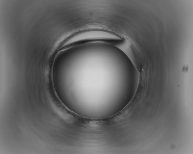 X0000092010064200709201539