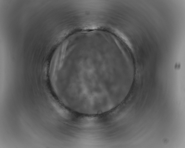 X0000092010065200709201539