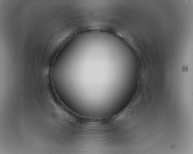 X0000092010066200709201539